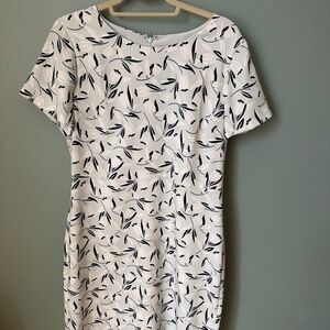 Ann Taylor Factory Dress